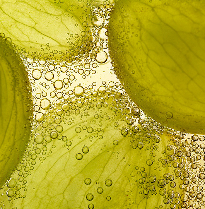 Grape Seed Oil