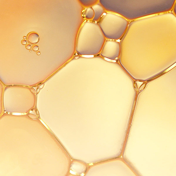Ceramides